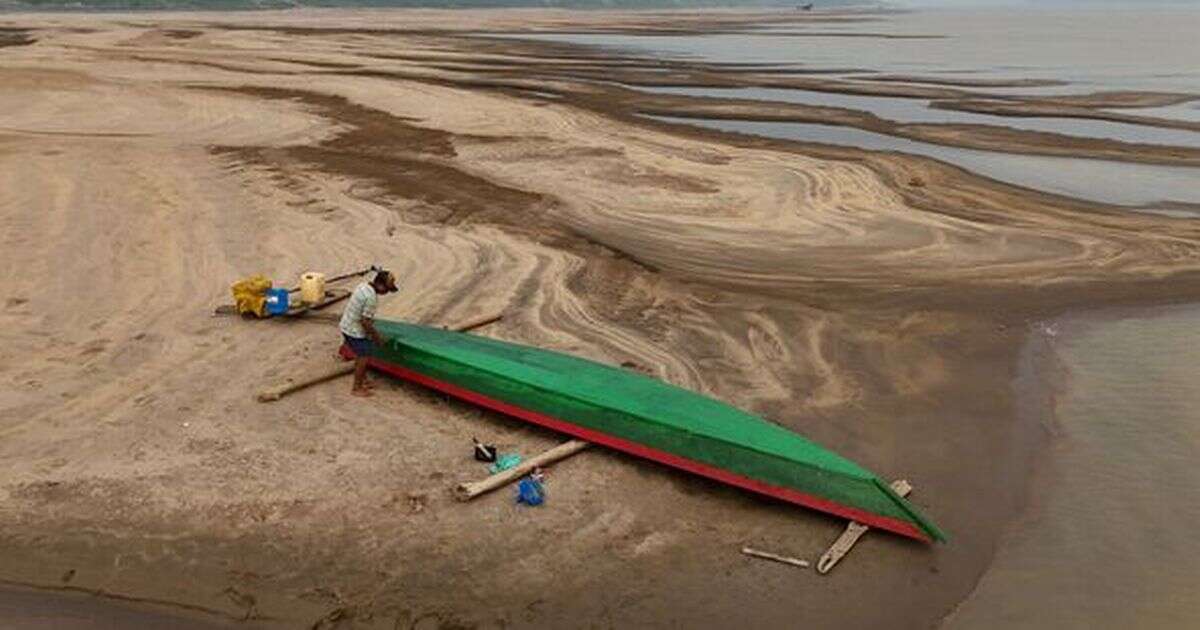 Amazon jungle hit by 'apocalyptic' drought as rivers dry up in Sahara-like conditions