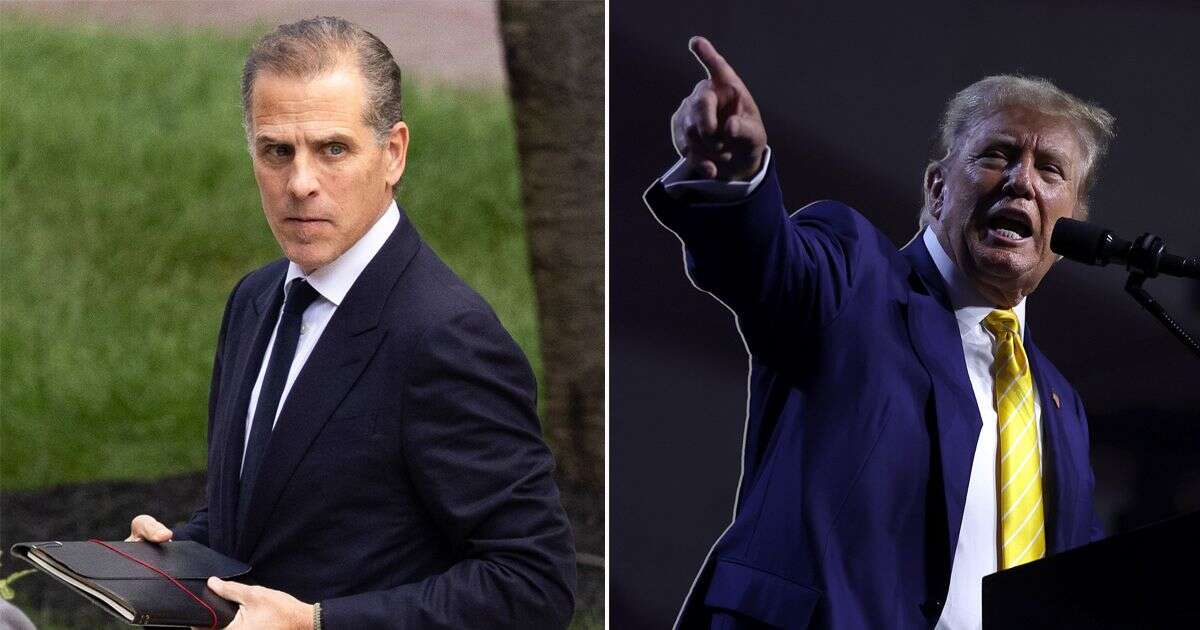 Donald Trump labels Hunter Biden's gun felonies 'distraction' from 'crime family'