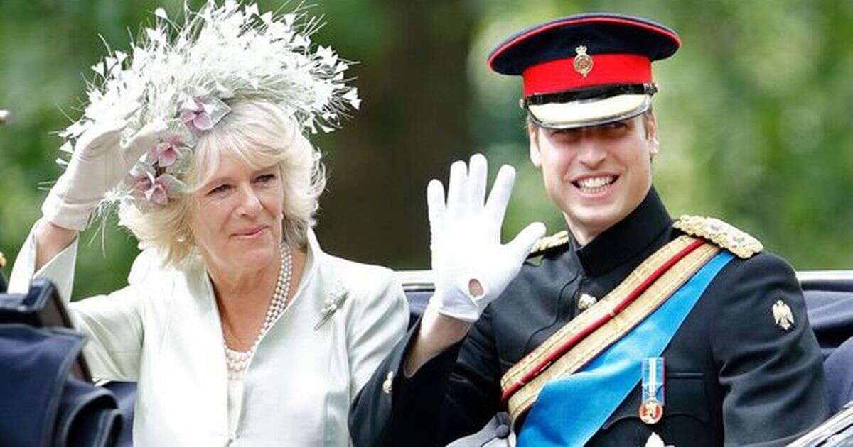 Queen Camilla's five brutal words about Prince William after marriage to King Charles