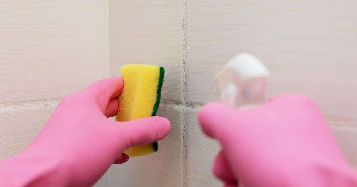 Cleaning enthusiast says simple method prevents mould all year round with no chemicalsLife hacks