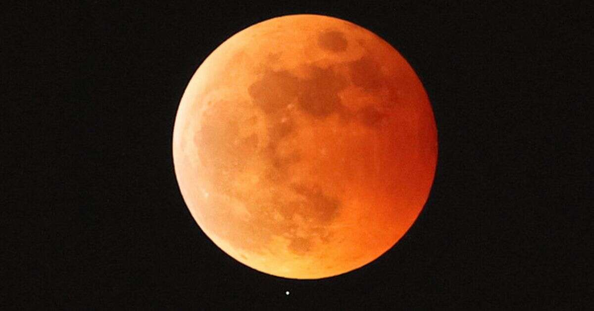 Space scientist on where and when to see 'creepy' blood moon