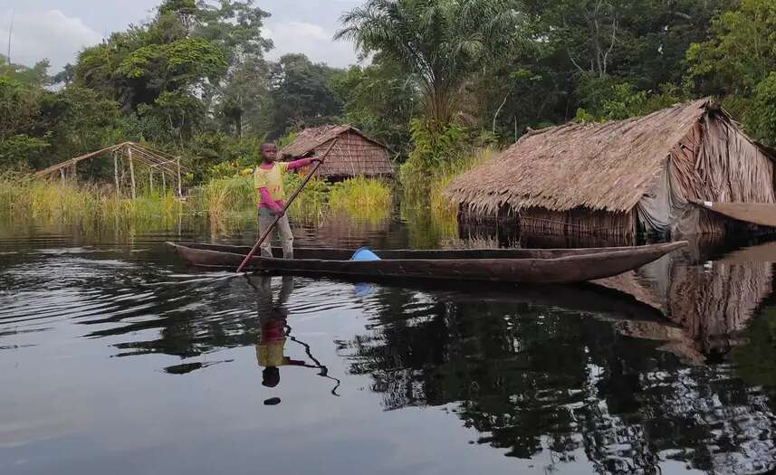 Protecting Peatlands a Win-Win Solution, If We Act Now