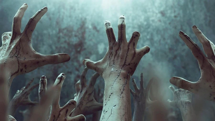 „Komórki zombie” ożywają w mózgu po śmierci człowieka