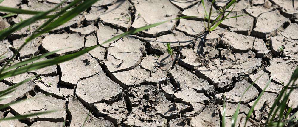 „Vorgeschmack auf unsere Zukunft“ Wetterorganisation WMO schlägt beim Zustandsbericht Weltklima erneut Alarm