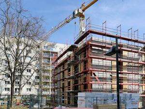 Kampf gegen Wohnungslosigkeit in Berlin Grünen-Fraktion will Angebot für Betroffene ausbauen