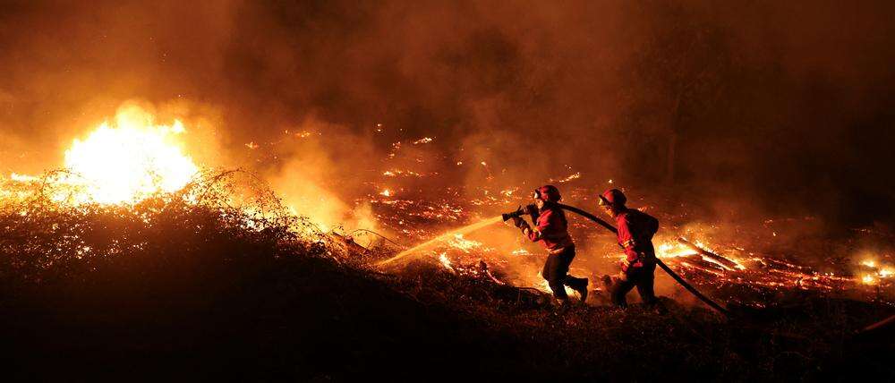 Schon vier Todesopfer Portugal kämpft gegen Waldbrände auf Fläche von mehr als 10.000 Hektar