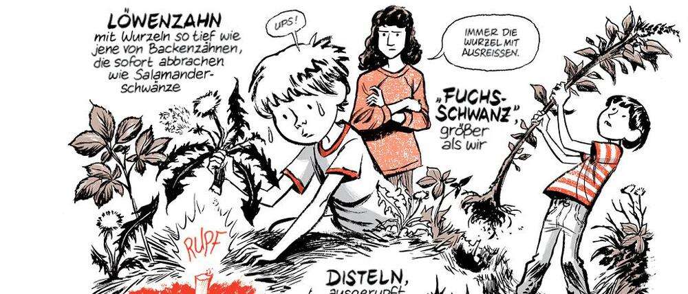 Comiczeichner Craig Thompson („Blankets“) „Es gibt derzeit keinen starken Markt für literarische Graphic Novels “