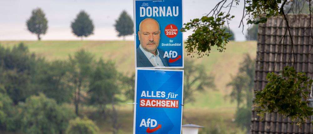 SPD muss bangen AfD liegt vor Wahl in Sachsen wieder knapp vor der CDU