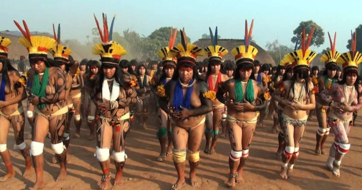 Nova plataforma de conteúdo cultural chega 100% focada em produções da Amazônia