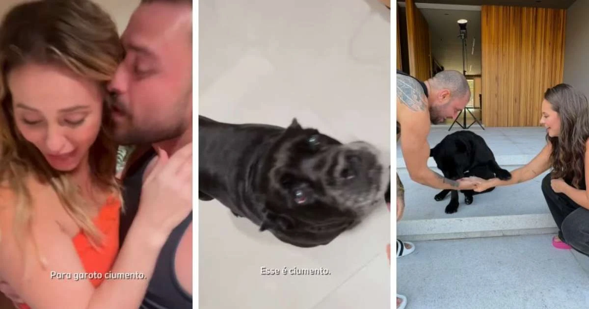 Paolla Oliveira e Diogo Nogueira têm beijo interrompido por ciúmes de cachorro