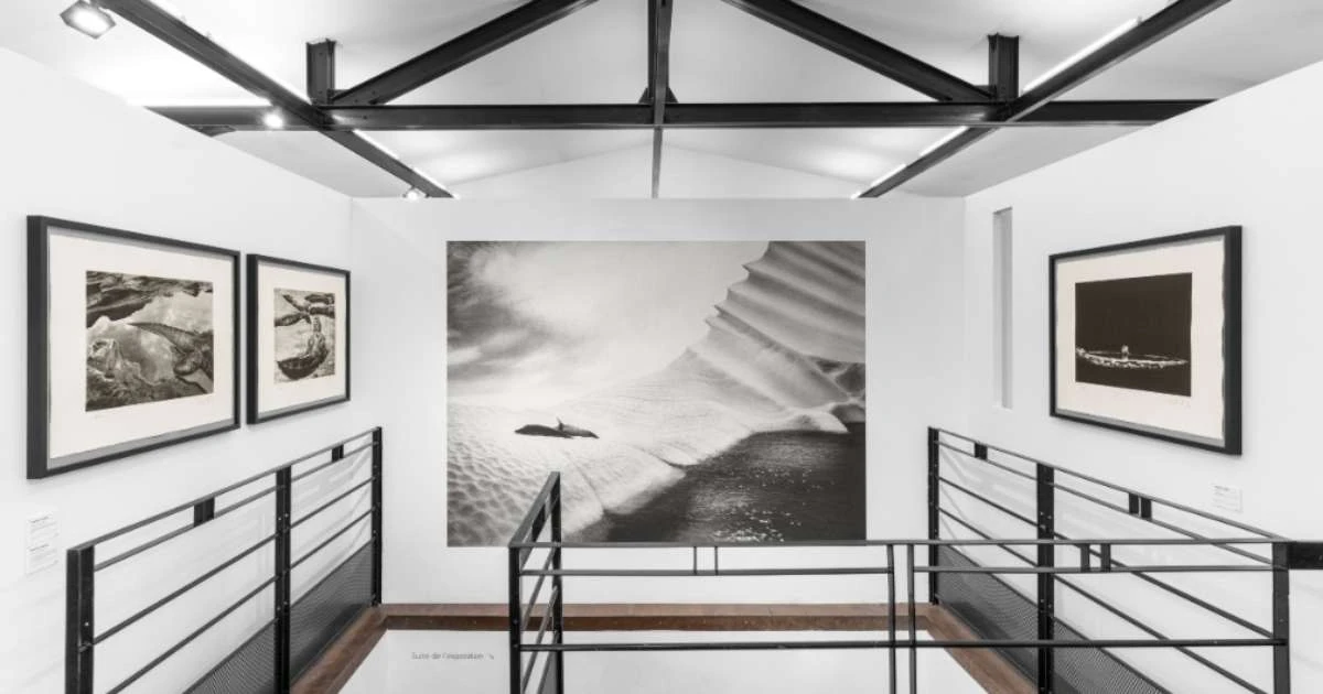 Veja última exposição de Sebastião Salgado em Paris: 