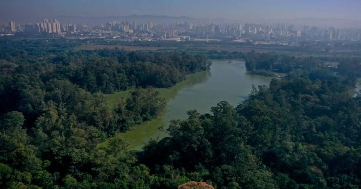 Como é o plano de Tarcísio de conceder 6 parques de SP à iniciativa privada