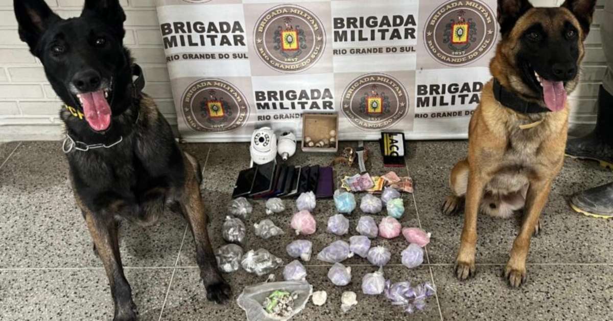 Operação com cães farejadores resulta em 2 prisões por tráfico na Zona Sul de Porto Alegre