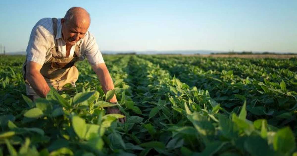 Gastronomia com produtos locais ajuda economia regional