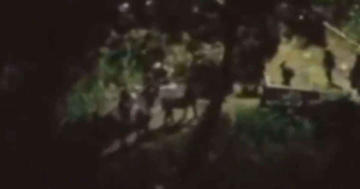 Criminosos do Ceará e do Rio armados com fuzis fogem pela mata na Rocinha; veja o vídeo
