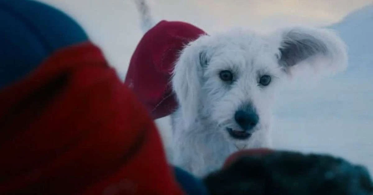 Superman: James Gunn revela fofa inspiração para Krypto, o cão de Clark Kent que já roubou a cena