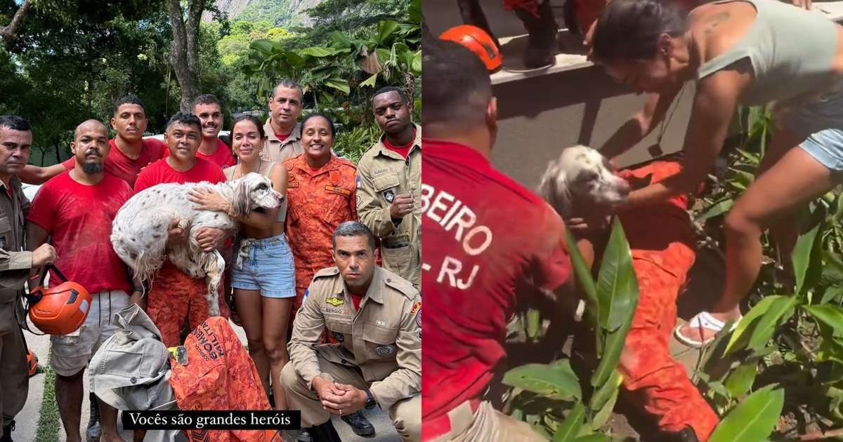 Anitta aciona Corpo de Bombeiros e resgata cachorro desaparecido no Natal: 'São heróis'