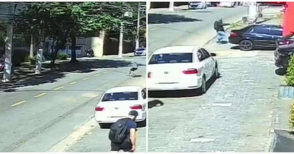 PM de folga é baleado ao intervir em tentativa de assalto no Morumbi