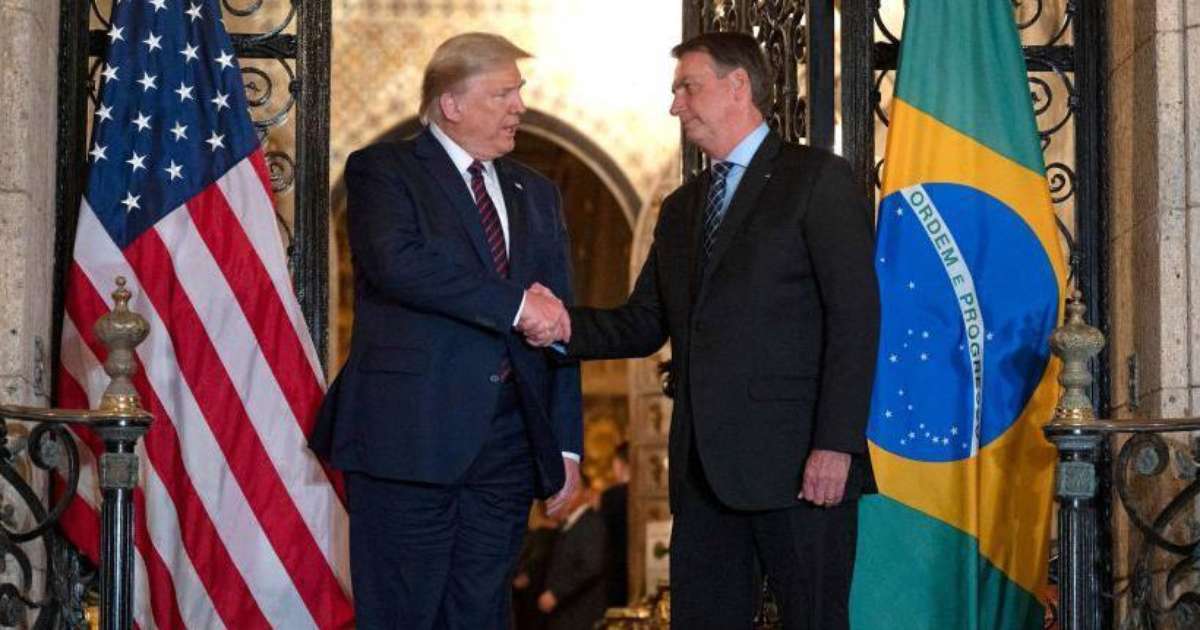 'Musk vai influenciar a percepção sobre Brasil no governo Trump': os fatores que bolsonaristas celebram na vitória