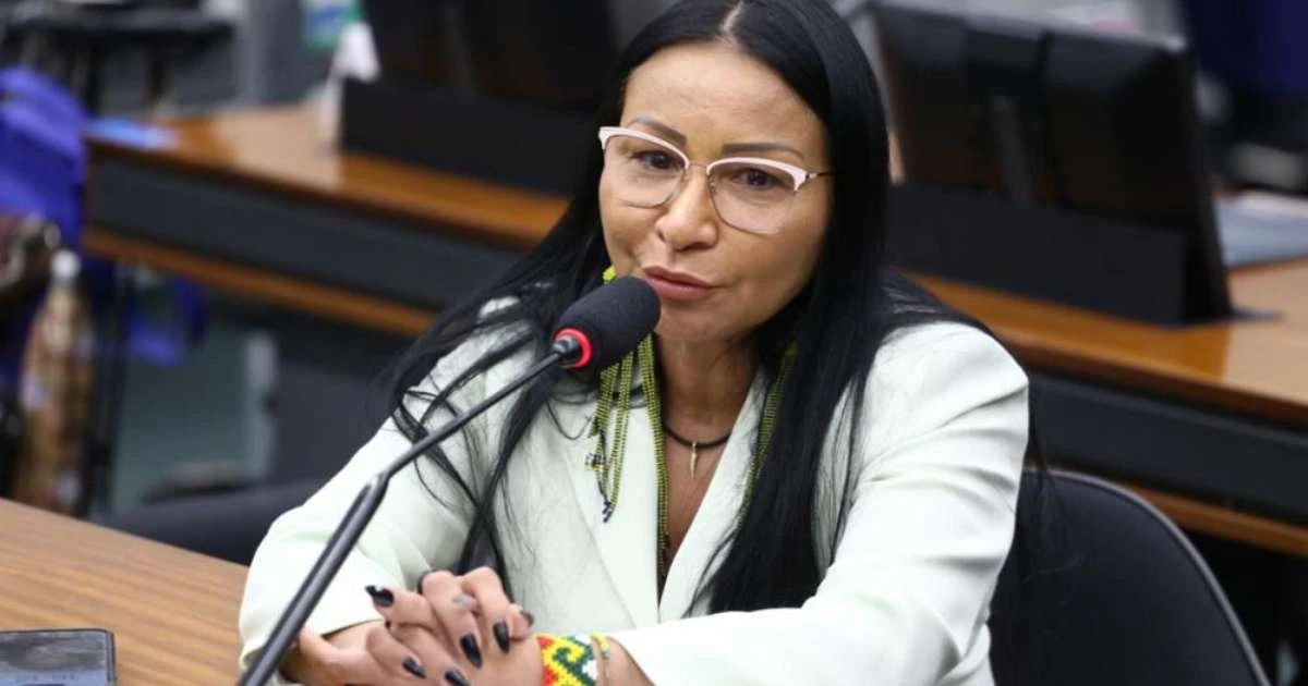 Silvia Waiãpi usou advogados do gabinete em defesa pessoal