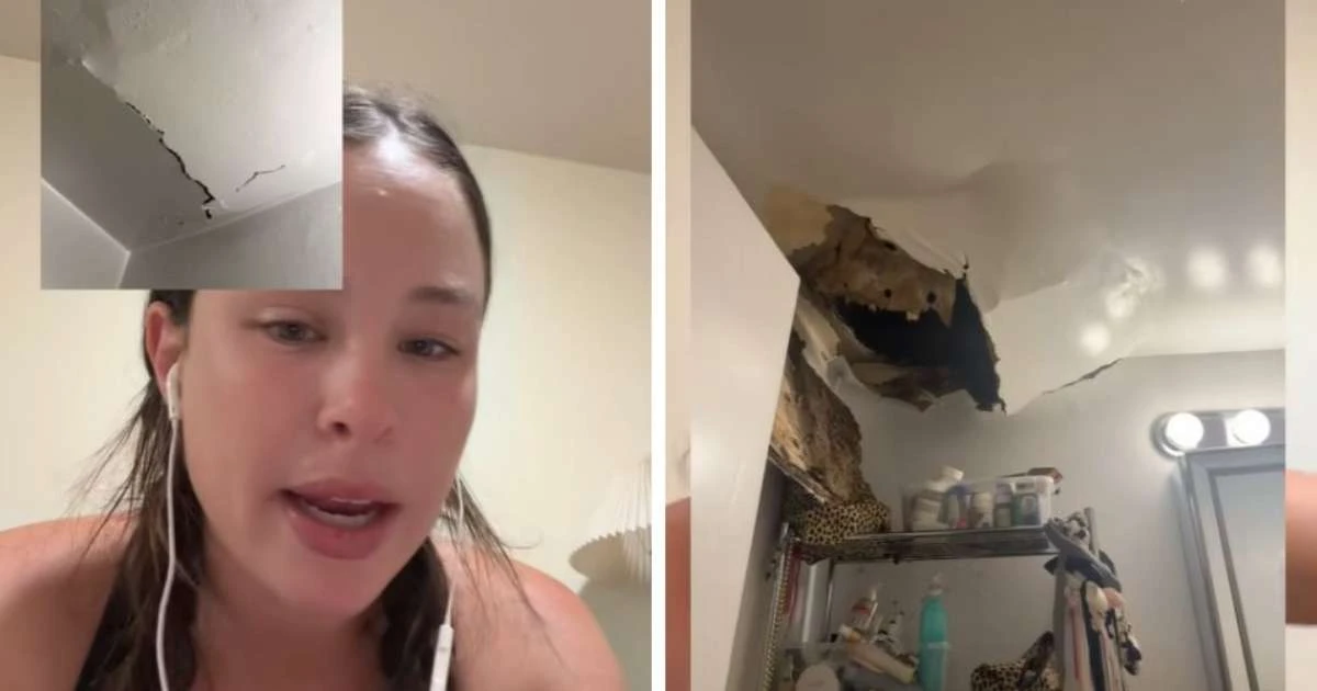 Moradora é obrigada a deixar apartamento após teto desabar e liberar 'milhares de baratas'