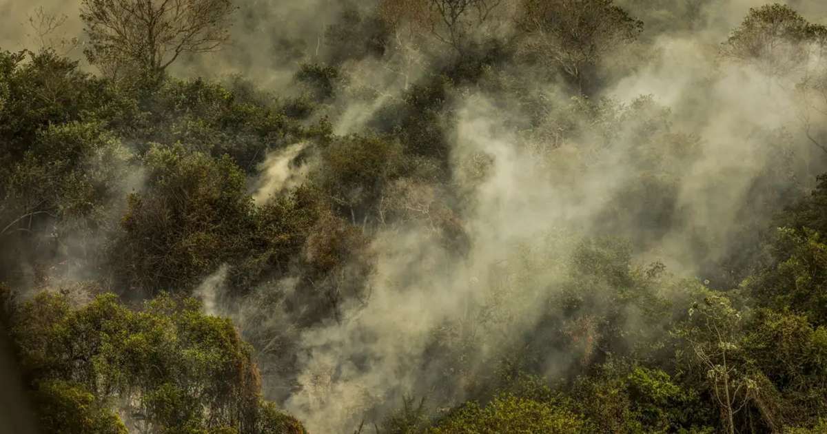 Em 10 dias, Pantanal já tem o dobro do total de incêndios de setembro de 2023