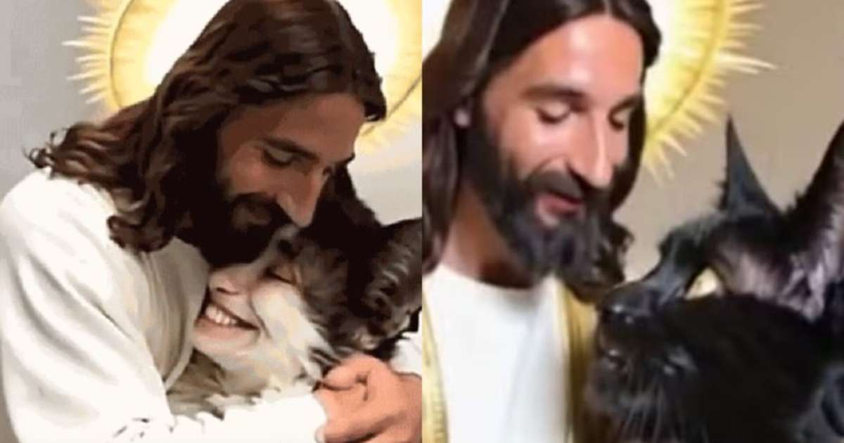 Bizarro? Bug da trend 'abraço em Jesus' 'humaniza' pets e viraliza na web