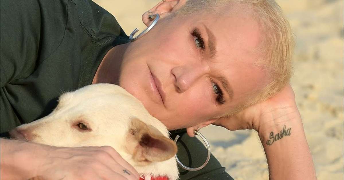 Após 11 anos, Xuxa volta à Globo em horário nobre e conquista a maior audiência do domingo