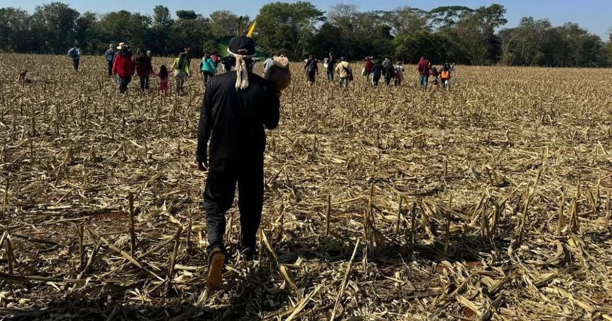 Indígena é morto decapitado no PR; governo relata carta com ameaças
