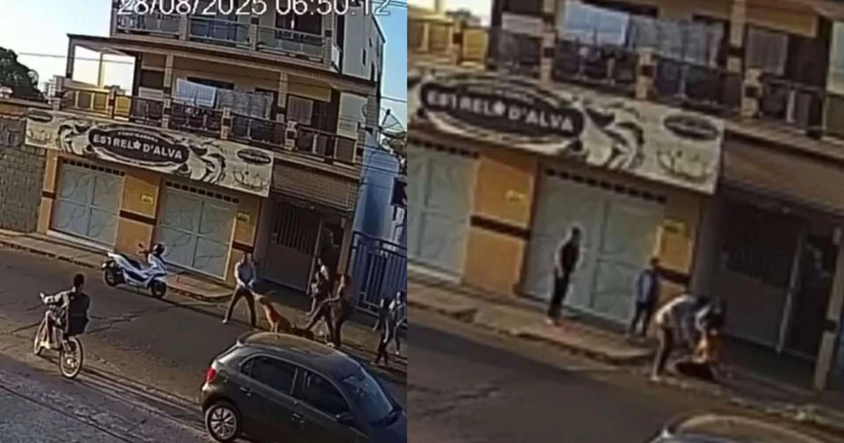 Idoso perde parte do dedo ao tentar separar briga de cachorros em MG; veja fotos