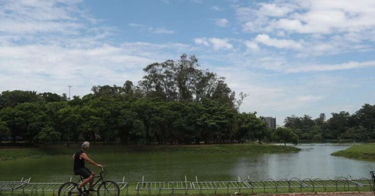 Gripe aviária: USP identifica primeiros casos no Parque do Ibirapuera