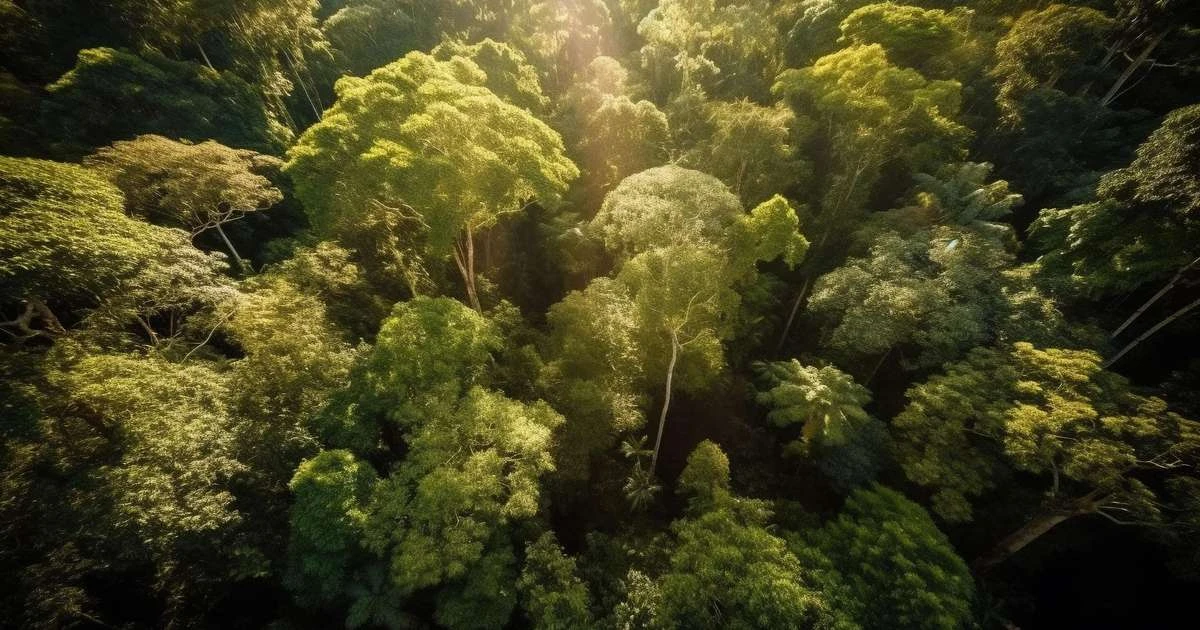 Belém sedia seminário sobre turismo regenerativo na Amazônia