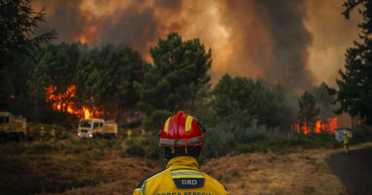 Incêndios florestais se intensificam na Europa; Espanha registra vítimas fatais