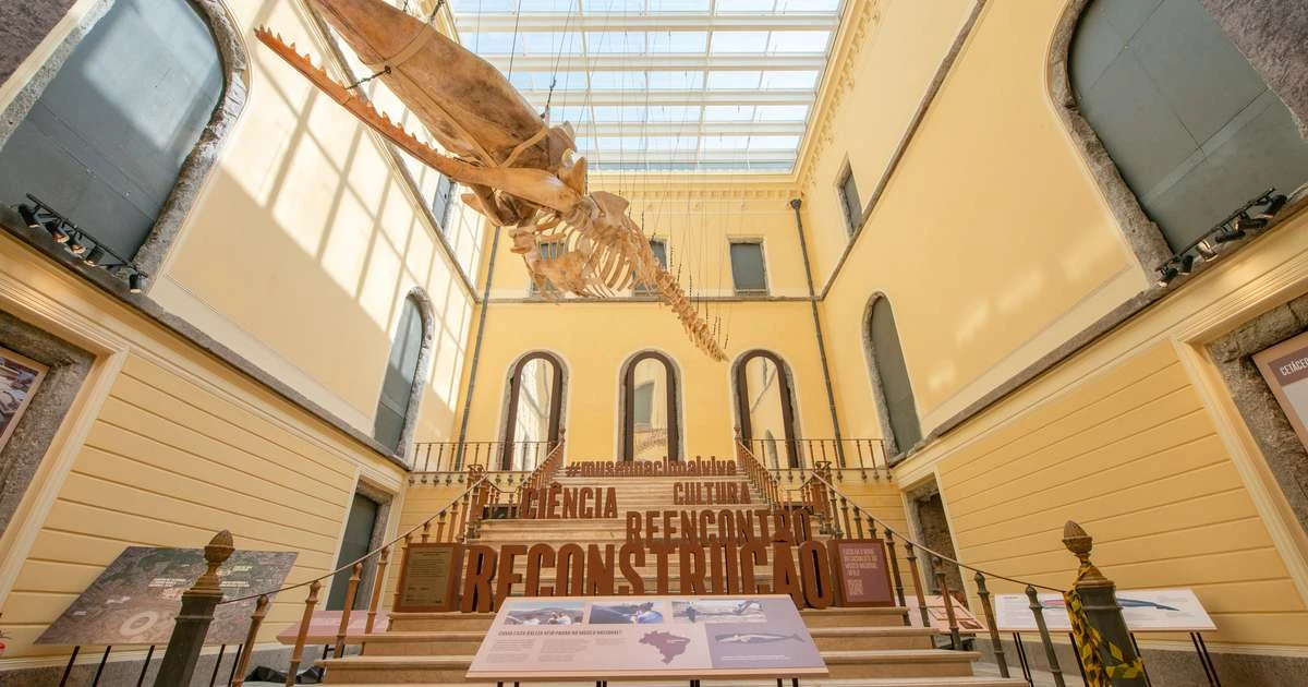 Fotos mostram interior do Museu Nacional, que reabre nesta quarta-feira após 7 anos