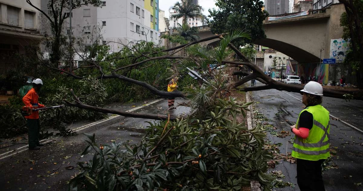 Dois dias após tempestade, 4 mil casas seguem sem energia na Grande São Paulo