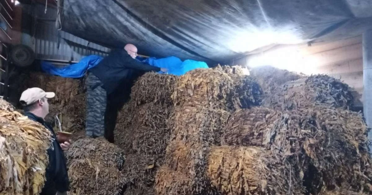 Operação mira furtos de tabaco e fiscaliza mais de 38 toneladas de produto no RS
