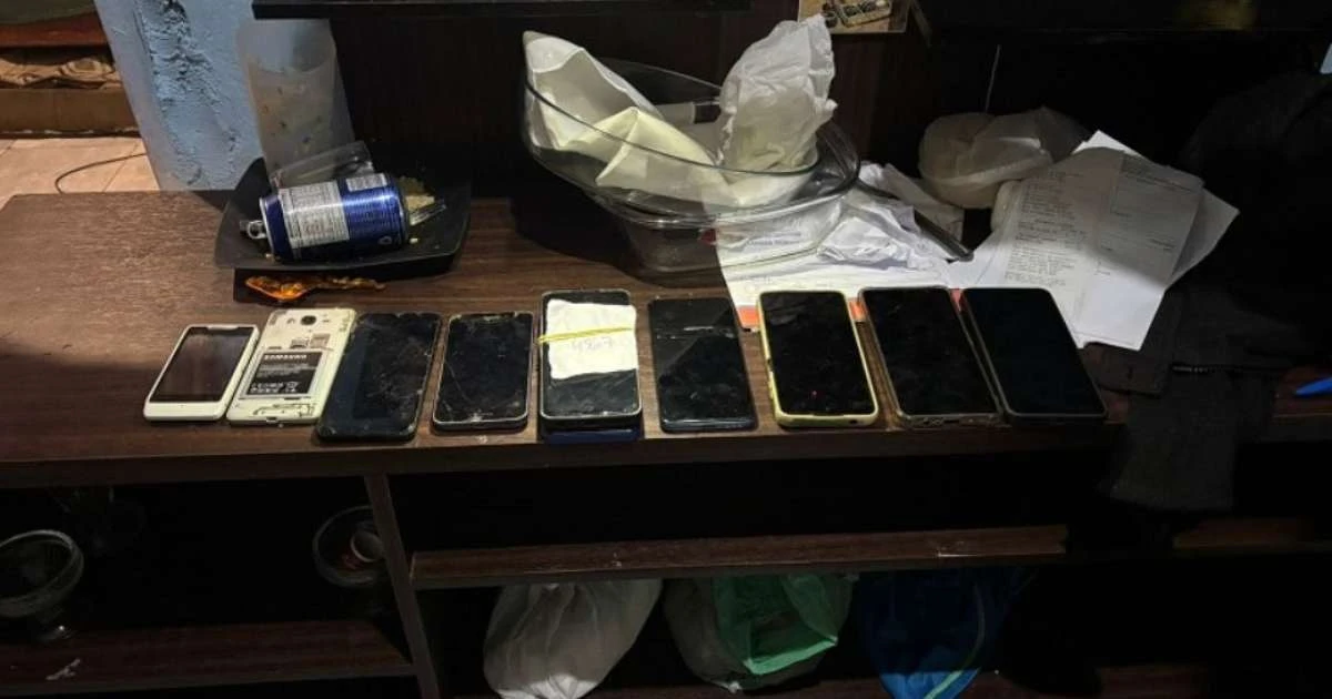 Grupos que atacam moradores de rua e animais abandonados são alvo de operação da polícia de SP
