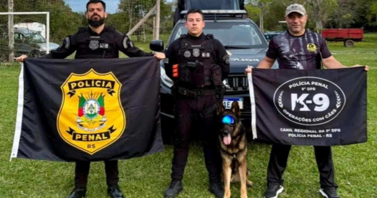 K9 da Polícia Penal gaúcha conquista título internacional em competição de habilidades