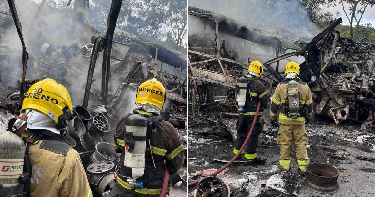 8 morrem em acidente entre ônibus e caminhão em rodovia em MG
