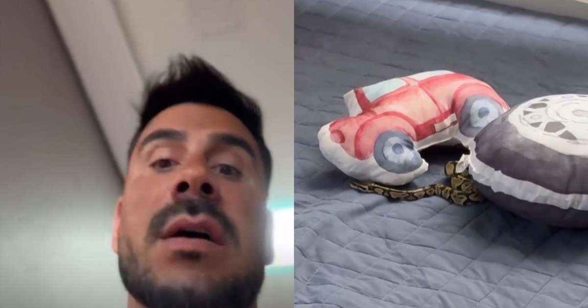 Gente? Julio Rocha se desespera ao encontrar serpente na cama dos filhos: 'Quinta vez'