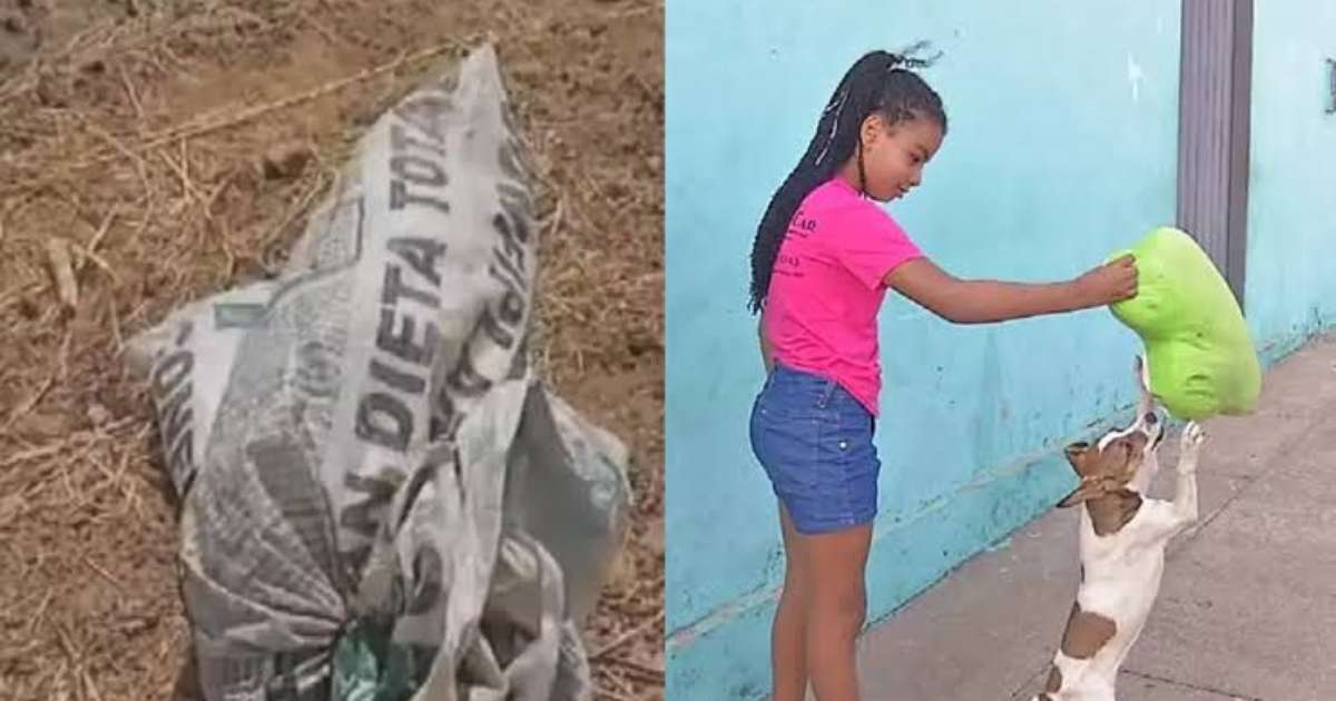 Menina de 9 anos resgata cadela que estava abandonada e amarrada dentro de uma sacola