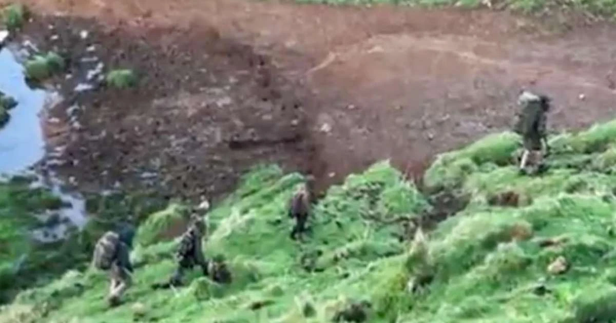 As primeiras imagens de local onde homem morto se escondia com filhos em floresta na Nova Zelândia