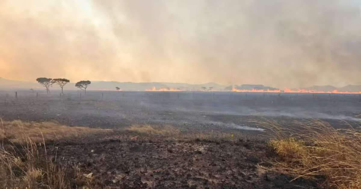 Incêndio destrói cerca de 10 mil hectares na Chapada dos Veadeiros, em Goiás