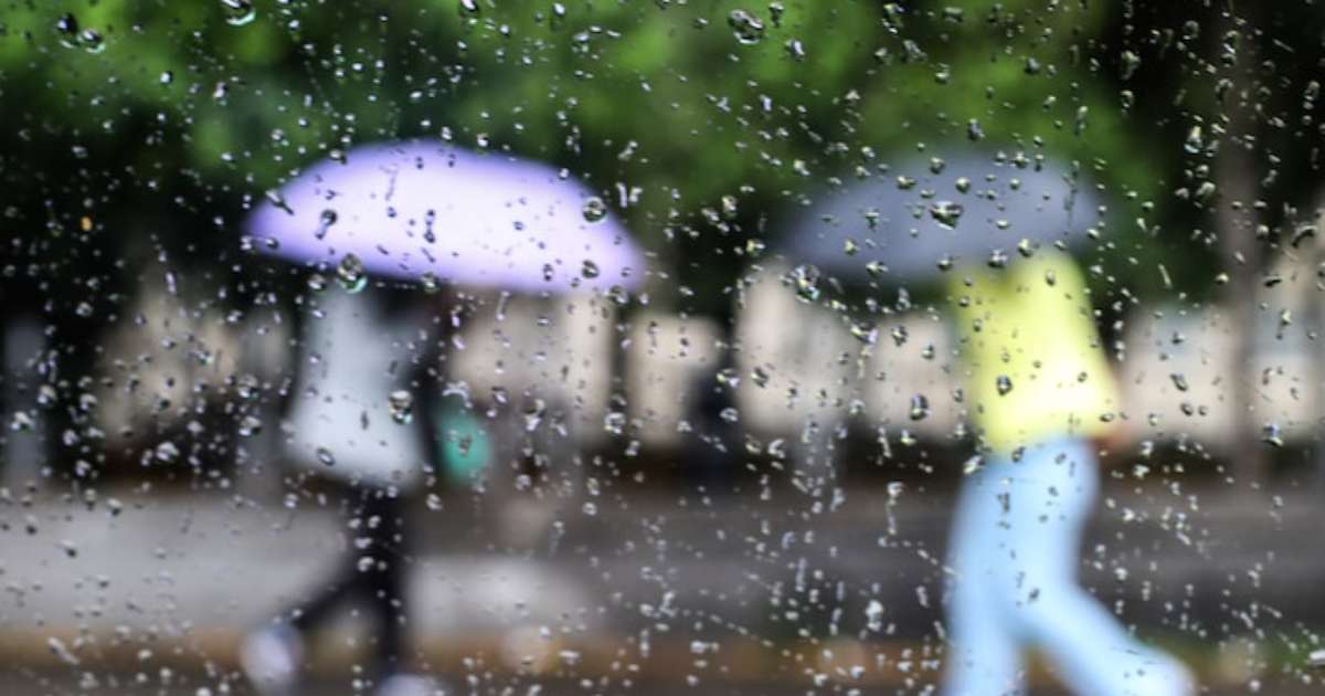 SP registra em 7 dias volume de chuva superior ao esperado para o mês de novembro; veja previsão