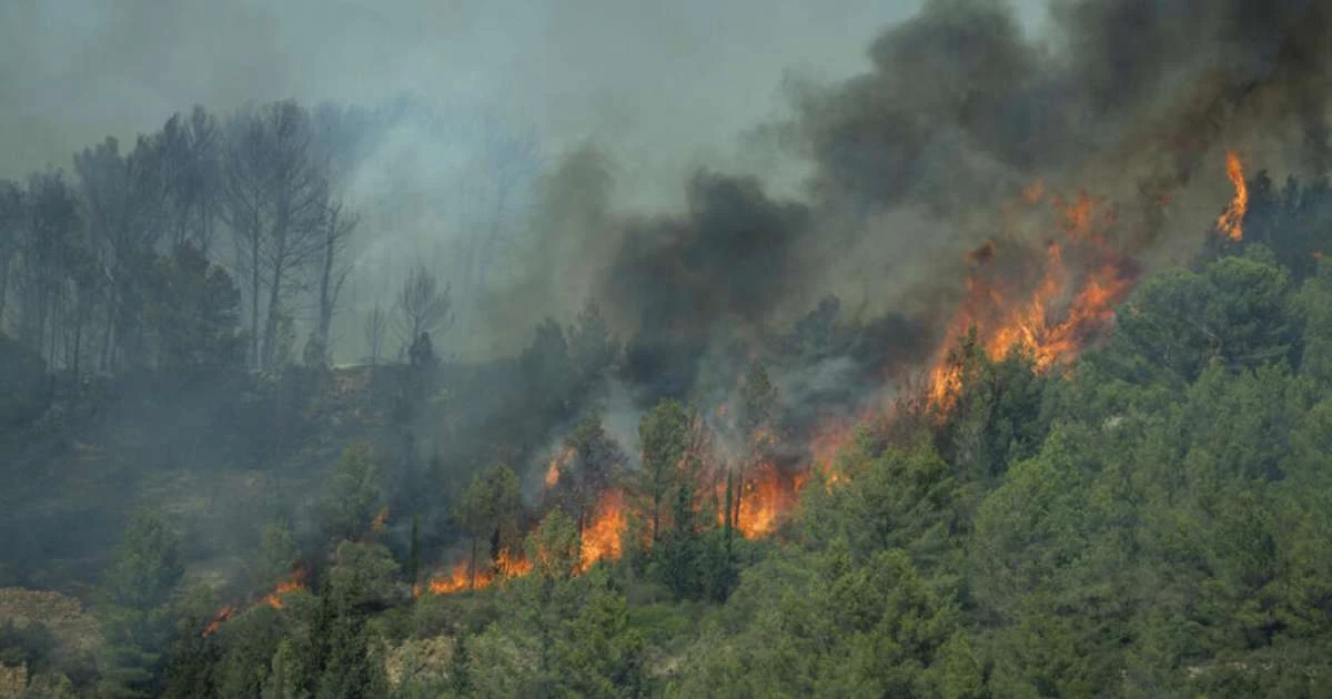 Prefeita atribui maior incêndio do verão na França à ação humana: 'irresponsabilidade das pessoas'