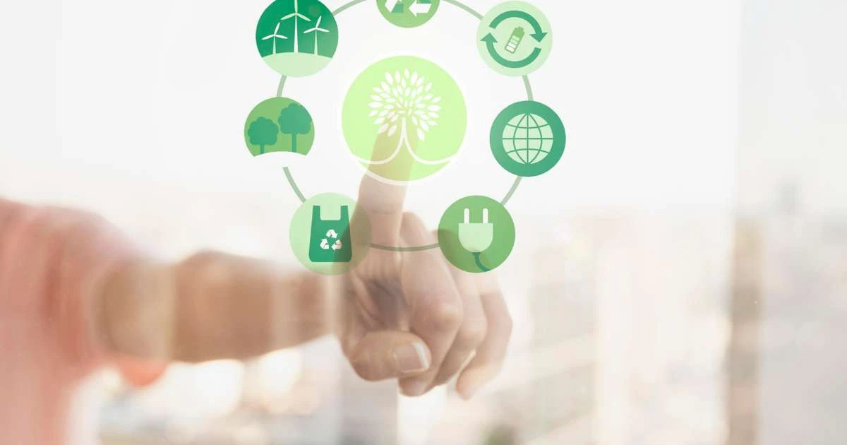 Seguro ambiental ajuda empresa a lidar com riscos ecológicos