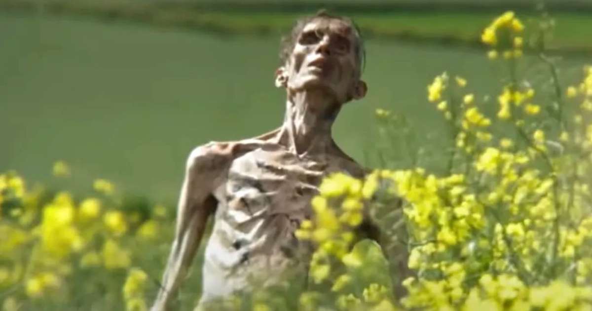 Cilliam Murphy vira zumbi no trailer da sequência de 