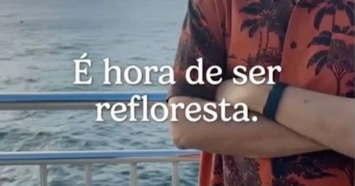 Campanha entre Gilberto Gil e TikTok promete plantar até 1 milhão de árvores; veja como participar