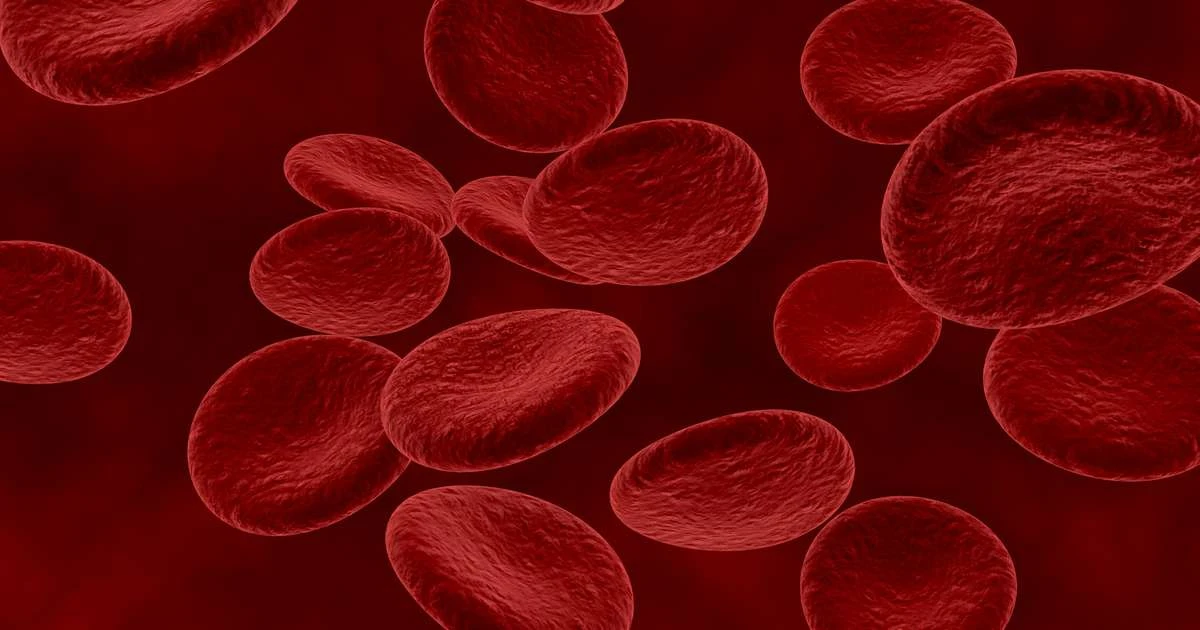 Mielodisplasia: doença silenciosa pode evoluir para leucemia