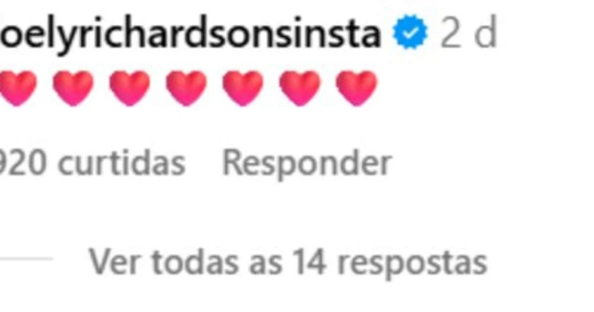 Pamela Anderson e Liam Neeson: Irmã de ex-mulher do ator comenta em fotos após rumores de romance